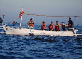 Bandara dan Lumba-Lumba