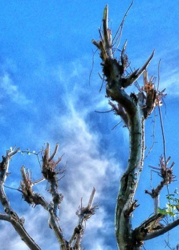 Sekar Sumawur: Langit-Langit, Langit dan Lelangit