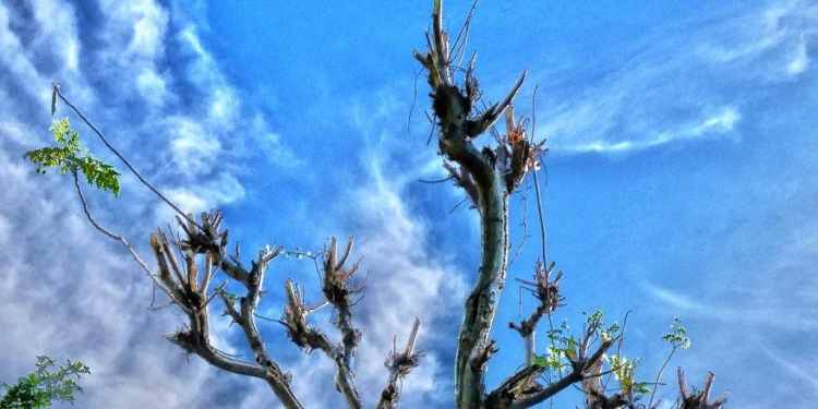 Sekar Sumawur: Langit-Langit, Langit dan Lelangit