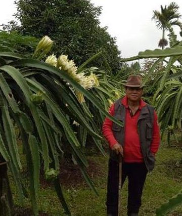 Sang Naga dari Tajun