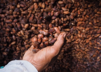 Beasiswa Liputan Total Rp 12,5 Juta untuk Pewarta Warga Indonesia