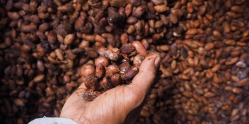 Beasiswa Liputan Total Rp 12,5 Juta untuk Pewarta Warga Indonesia