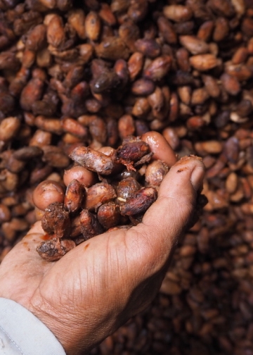 Beasiswa Liputan Total Rp 12,5 Juta untuk Pewarta Warga Indonesia