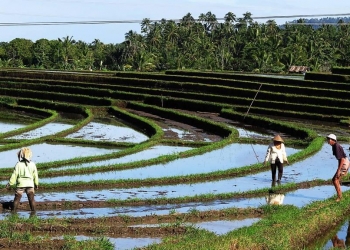 Pertanian, Pariwisata, Industri Kreatif, Integrasi yang tak Sampai #Kolom Made Metera