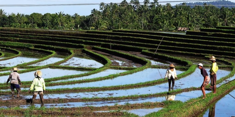 Pertanian, Pariwisata, Industri Kreatif, Integrasi yang tak Sampai #Kolom Made Metera