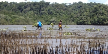 Kampung Papua, Antara Eksploitasi dan Konservasi (2)