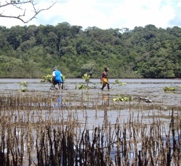Kampung Papua, Antara Eksploitasi dan Konservasi (2)