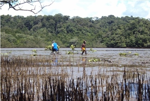 Kampung Papua, Antara Eksploitasi dan Konservasi (2)