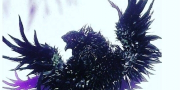 Ayam, Taji dan Radio