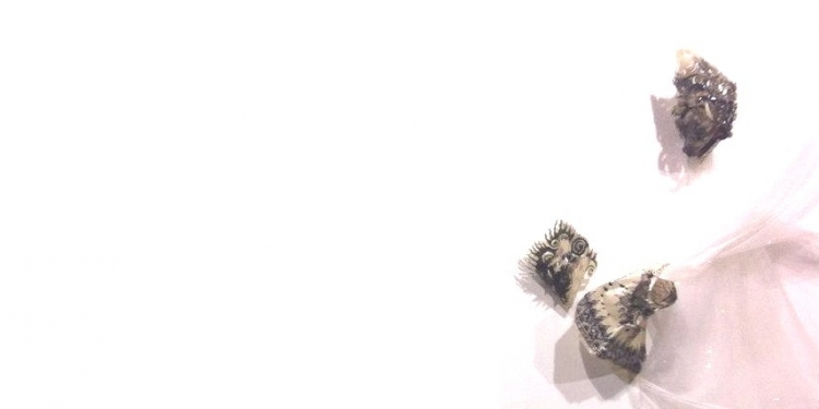 Puisi-puisi Winar Ramelan# Hawa Dingin yang Mengintai