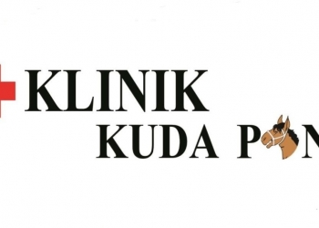 Wujudkan “Good Governance” dengan Klinik Kuda Poni
