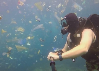 Waste Management Solution for Better Tourism