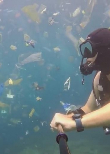 Waste Management Solution for Better Tourism
