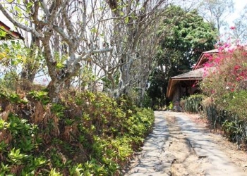 Cita-cita Toya Bungkah, Cita-cita Kebudayaan Bangsa Indonesia