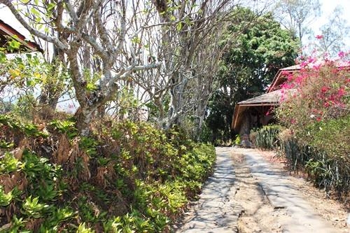 Cita-cita Toya Bungkah, Cita-cita Kebudayaan Bangsa Indonesia