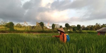 Generasi Petani 4.0 – Laku Tani Berbasis Aplikasi, Tinggal Unduh di Play Store