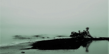 Mencintai Kesejatian Diri