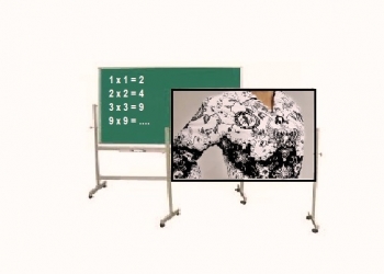 What Makes A Good Teacher? –Catatan Seorang Guru