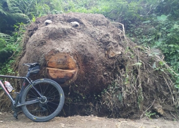 Awas! Ada Kepala Besar di Desa Wisata Pinge, Marga, Tabanan