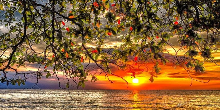 Puisi-puisi Muhammad Daffa # Sajak Kepada Cinta