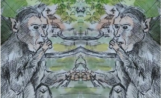 Dewa Brahma & Dewi Saraswati, Sepasang Kera, dan Anugerah untuk Charles Darwin