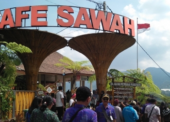 Desa Pujonkidul di Malang: Kembangkan Wisata Tani, Bumdes Kelola Kafe Sawah