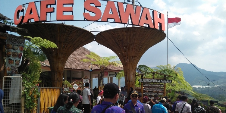 Desa Pujonkidul di Malang: Kembangkan Wisata Tani, Bumdes Kelola Kafe Sawah