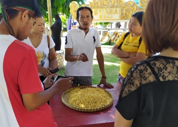 Cinta dalam Sebungkus Tempe  – [Ngobrol Kreatif Bersama Pak Nur di Bulfest 2019]
