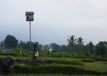 Burung Hantu, Dek Enjoy, dan Cerita-Cerita Kearifan Lokal di Banjar Pagi