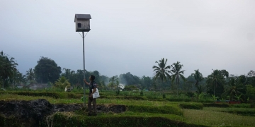 Burung Hantu, Dek Enjoy, dan Cerita-Cerita Kearifan Lokal di Banjar Pagi