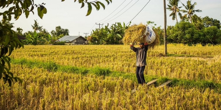 Bekerjalah pada Pekerjaan yang dapat Membuat Anda Bahagia