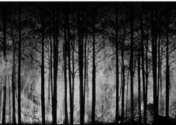 Memaknai Sumpah Pemuda: Sudahkan Pemuda Berjuang Untuk Permasalahan Lingkungan di Indonesia?