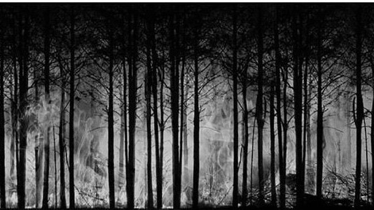 Memaknai Sumpah Pemuda: Sudahkan Pemuda Berjuang Untuk Permasalahan Lingkungan di Indonesia?