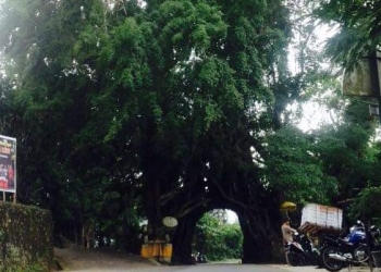 Bunut Bolong, Antara Pertemuan, Cinta dan Kenangan