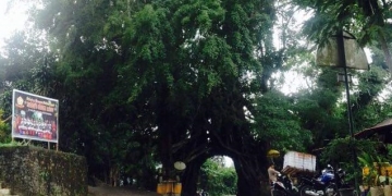 Bunut Bolong, Antara Pertemuan, Cinta dan Kenangan