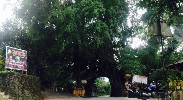 Bunut Bolong, Antara Pertemuan, Cinta dan Kenangan