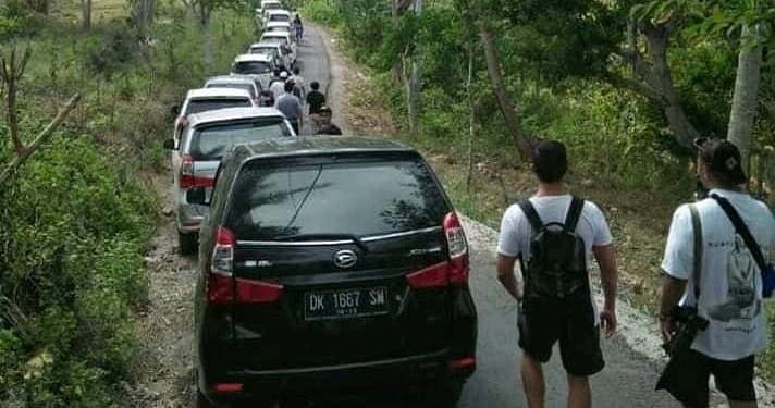 Pariwisata Nusa Penida,  Menggeser Perspektif Ternak Kaki Empat Menjadi Roda Empat