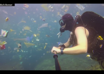 Andai Pariwisata Tak Merasuki,  Siapa Yang Peduli Sampah Plastik di Nusa Penida?