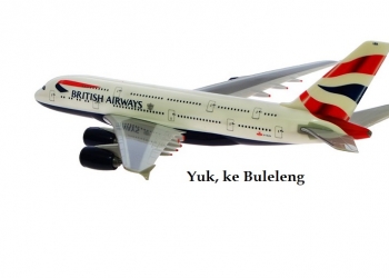 Bandara Bali Utara: Apakah Ide Baik?