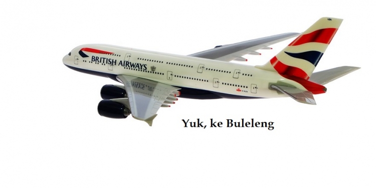 Bandara Bali Utara: Apakah Ide Baik?