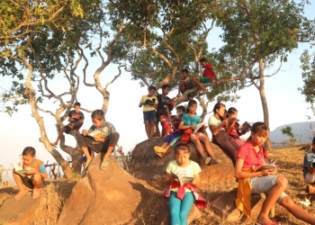 Menerawang Literasi Mengambang di Pohon Jamblang