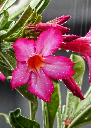 Tiga Tradisi Hitungan untuk Menghitung Datangnya Hujan di Bali