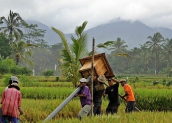 Pendidikan Ekologi yang Relevan untuk Bali