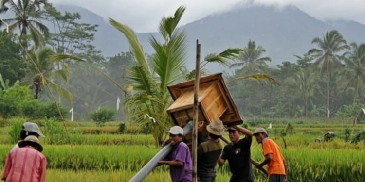 Pendidikan Ekologi yang Relevan untuk Bali