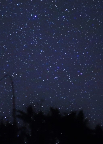 Mengintip Bintang Dari Rumah