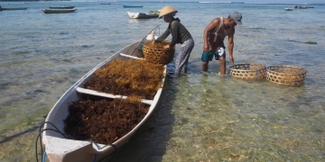 Lempar “Bom” Benih, Mempraktikkan Cara Hidup Ekologis di Nusa Penida