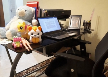 “Work from Home”, Antara Harapan dan Kenyataan