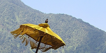 Ketika Alam Semesta Memberi Tanda untuk Menyepi