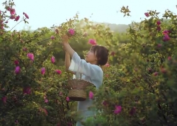 Catatan Singkat Tentang Li Zi Qi, Wanita Karir yang Memilih Tinggal di Desa