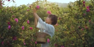 Catatan Singkat Tentang Li Zi Qi, Wanita Karir yang Memilih Tinggal di Desa